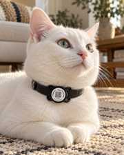 Médaille connectée pour chien & chat à glisser sur collier – QR Code + NFC