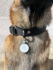 Collier de 30mm portant une médaille connectée qr Code nfc verte AURIA PETS