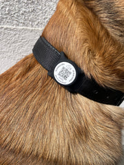 médaille connectée qr code nfc noire AURIA Pets glisser sur un collier de 30mm
